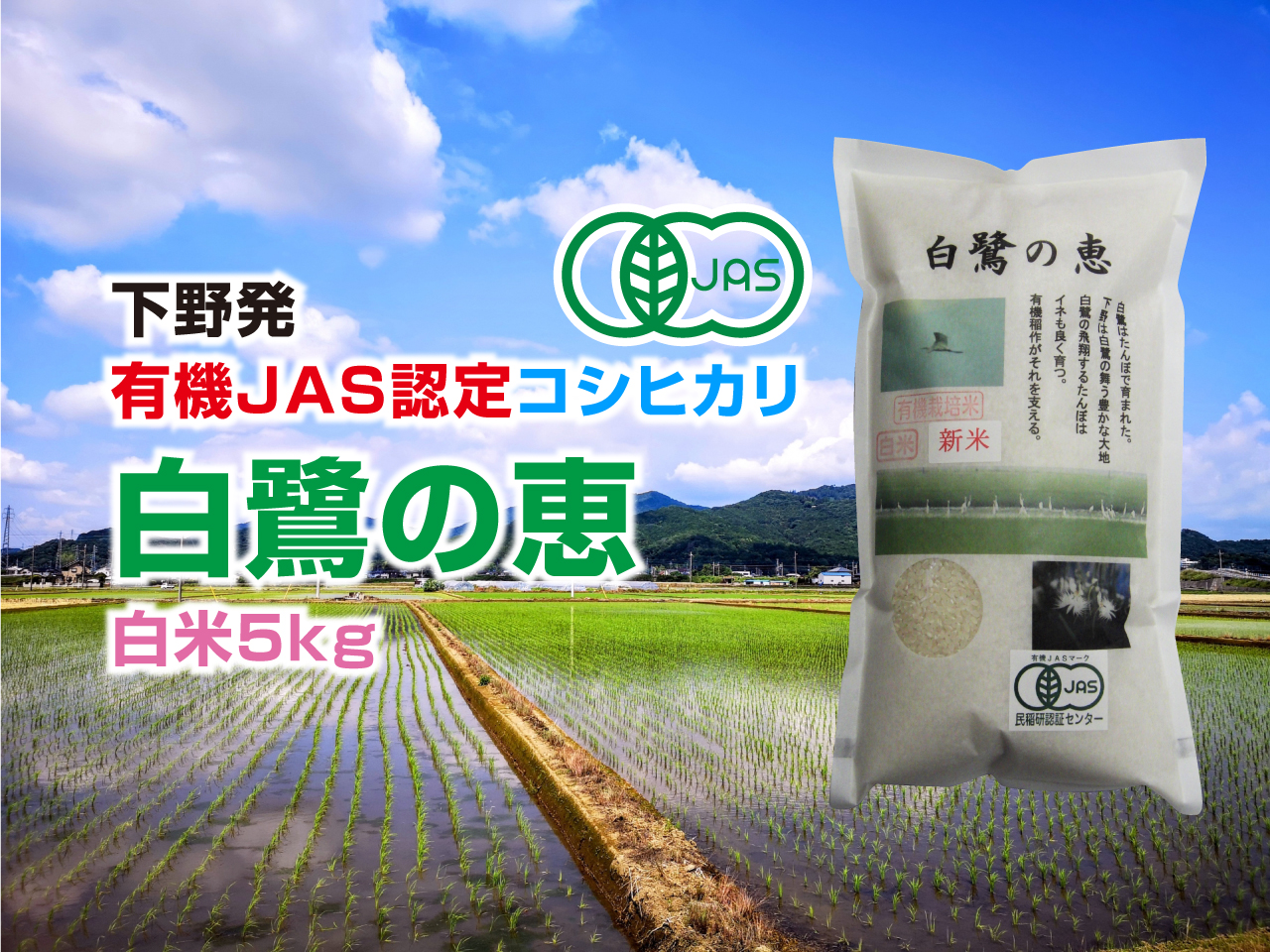 有機JAS認定コシヒカリ「白鷺の恵」白米5kg - まるごと那珂川 | 栃木県
